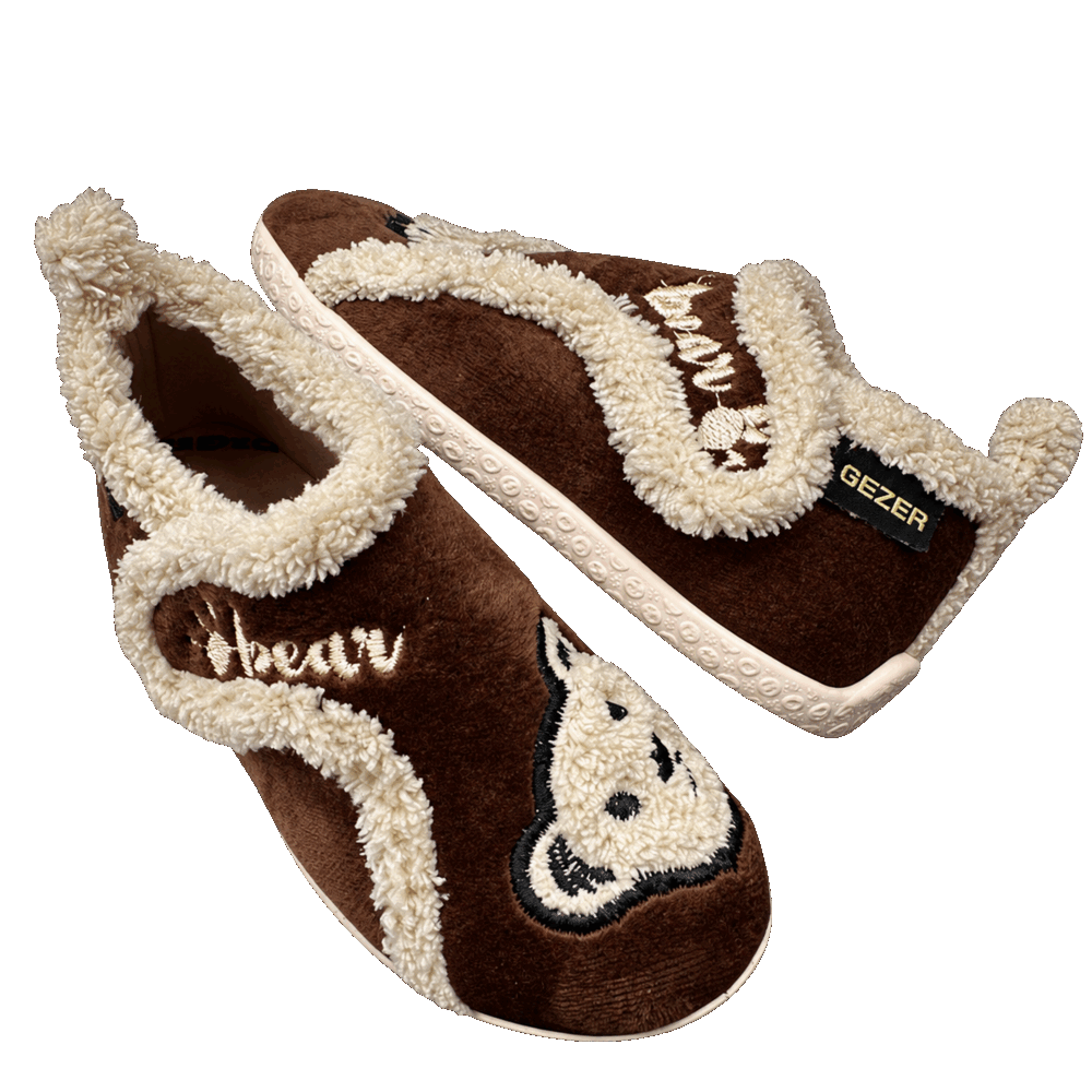 model_3460_brown_transparent